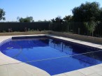 Elegant large pool