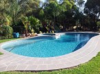 Back Yard Resort