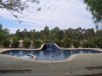 Moama Luxuriant freeform pool